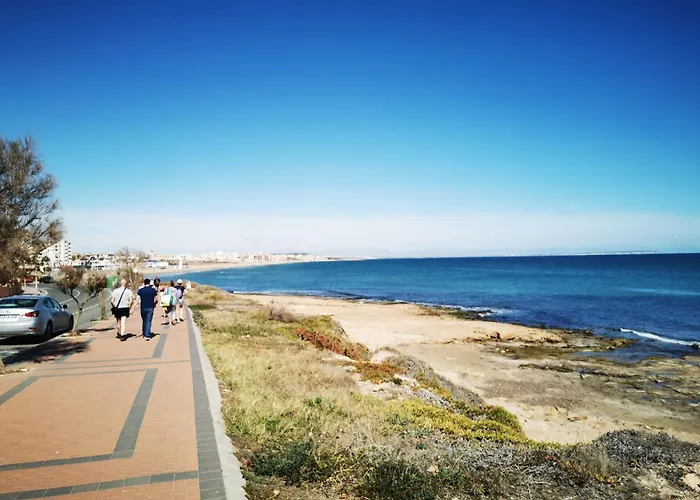 View, Relaxed * 托雷维耶哈